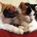 Teri Richardson - Facebook