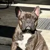 TeriRieselman - @teririeselman - TikTok