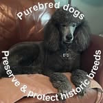 Teri Ingraham Ritchie - @sablesrgreat - Instagram