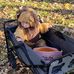 Terri Lingbeck Robb - Facebook