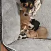 Terri Roe - @terri.roe - TikTok
