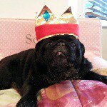 Terri Roper Bell - @chillytrb - Instagram