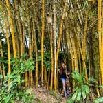 Teri Rosa Mountain - @terimtn1 - Instagram