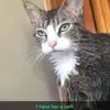 Terri Rose - @terri.rose - TikTok