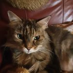 Teri Russell - @terirussell06 - Instagram