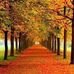Terri Schneider - Facebook