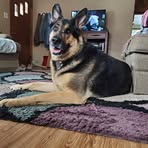 Teri Habeck Schroeder - Facebook