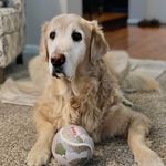Teri Schroeder Brull - @teri_laxmom - Instagram
