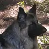 Terri Schroeder - @terri.schroeder0 - TikTok