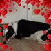 Teri Small - Facebook
