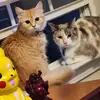 ✨️ Teri ✨️ - @teri.smith_87 - TikTok