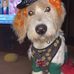 Terry Stanton - Facebook