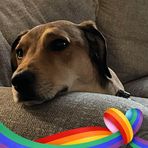 Teri Stapleton - Facebook