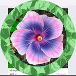 Teri Stapleton - Facebook