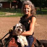Terri Stapleton Thompson - @saddlenotchranch - Instagram