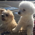 Teri Stinson - @teristinson50 - Instagram