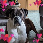 Teri Tanner - @trtanner90 - Instagram