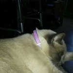 Teri Tanner - @tlt1414 - Instagram