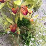 Teri Tanner - @txtanner1 - Instagram