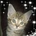 Teri Trost - Facebook