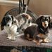 Terri L Trost - Facebook