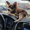 terimetz1 - @teri.tuttles - TikTok