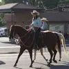 Terrie Vickers - @terrievickers - TikTok