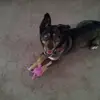 teri.wagner0 - @teri.wagner0 - TikTok