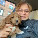 Teri Wallace - @teritwin1 - Instagram