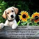 Terje Hansen - @terje.hansen.14418 - Instagram