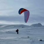 Terje Hansen - @terjehansen2 - Instagram
