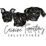 Cain & Terra - @cainineterratorycollectives - Instagram