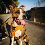 Terra_carreira - @terra_tpheebie - Instagram