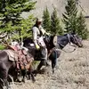 Terrall Collins - @terrall.collins - TikTok