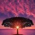 Tara Cooper - Facebook