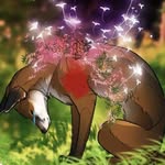 Terrafox - @terrafox_off - Instagram