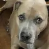 terrafuller - @terrafuller - TikTok