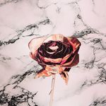 Terra - @ter.ragrace - Instagram