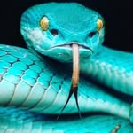 Terraguy - @terraguy8 - Instagram