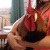 Terra Harris - @terraharris3 - TikTok