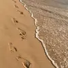 Terra Hessenius - @terrahessenius - TikTok