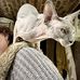 Tara Higgins - Facebook