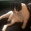 Terraaaa - @terrahuffman043 - TikTok