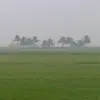 Terrajoy - @armterra - TikTok