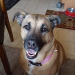 Terra Nelson - @terra_redd2005 - Instagram
