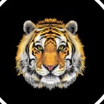 Terra Nova athletics page! - @terranovasports - Instagram