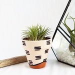Terracotta pottery - @terraa.potts - Instagram