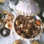 terra_rose - @azeezmujeeb508 - Instagram
