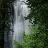 TerraRose - @terrarose0 - TikTok