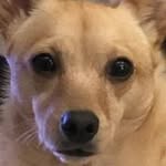 Terra Simon - @enchantment74 - Instagram